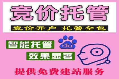 SEM竞价代运营公司案例精选解读
